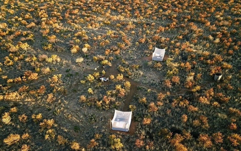 Stay Longer For Less at Feline Fields Lodge Kalahari Desert